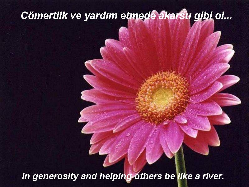 mevlana%20(2).jpg