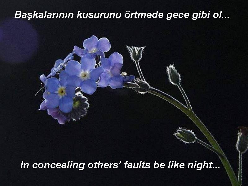 mevlana%20(4).jpg
