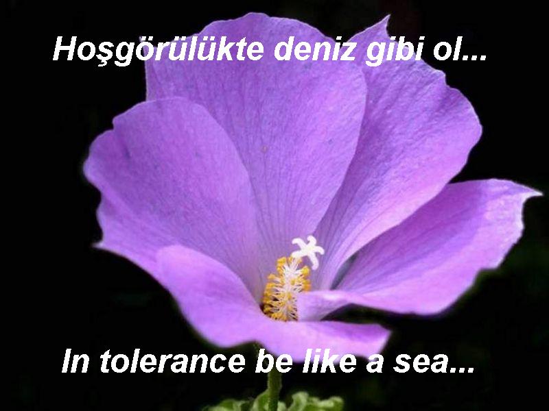 mevlana%20(7).jpg