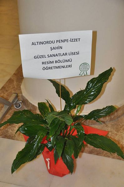 http://www.turklider.org/TR/Portals/57ad7180-c5e7-49f5-b282-c6475cdb7ee7/UserFiles/MR%20CAN%20AKIN/gesam_ordu%20(33).jpg