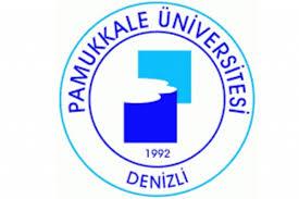 http://www.turklider.org/TR/Portals/57ad7180-c5e7-49f5-b282-c6475cdb7ee7/UserFiles/MR%20CAN%20AKIN/gesam_pamukkale_%C3%BCniversitesi_telif.jpg